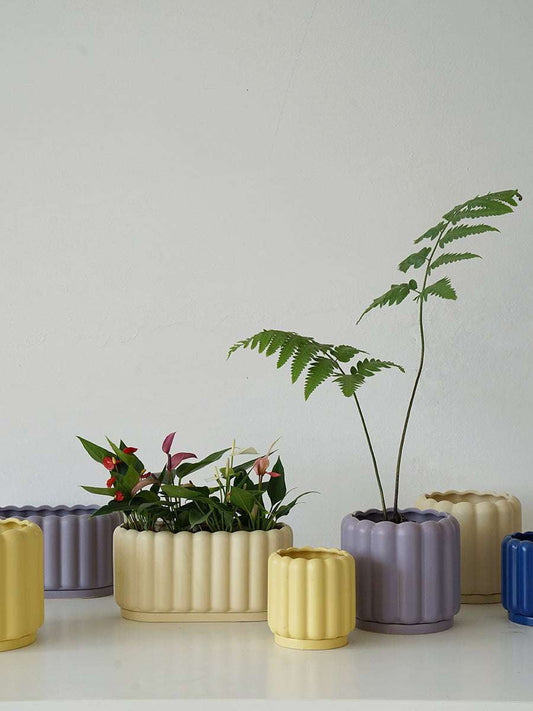 Ceramic Planter Tray, Colorful Round Planters, Fence Style Planter - available at Sparq Mart