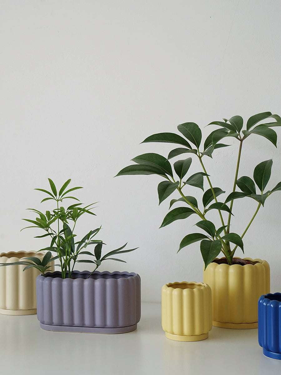 Ceramic Planter Tray, Colorful Round Planters, Fence Style Planter - available at Sparq Mart