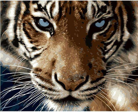 Exotic Wall Art, Tiger Artwork Decor, Tiger Canvas Print - available at Sparq Mart