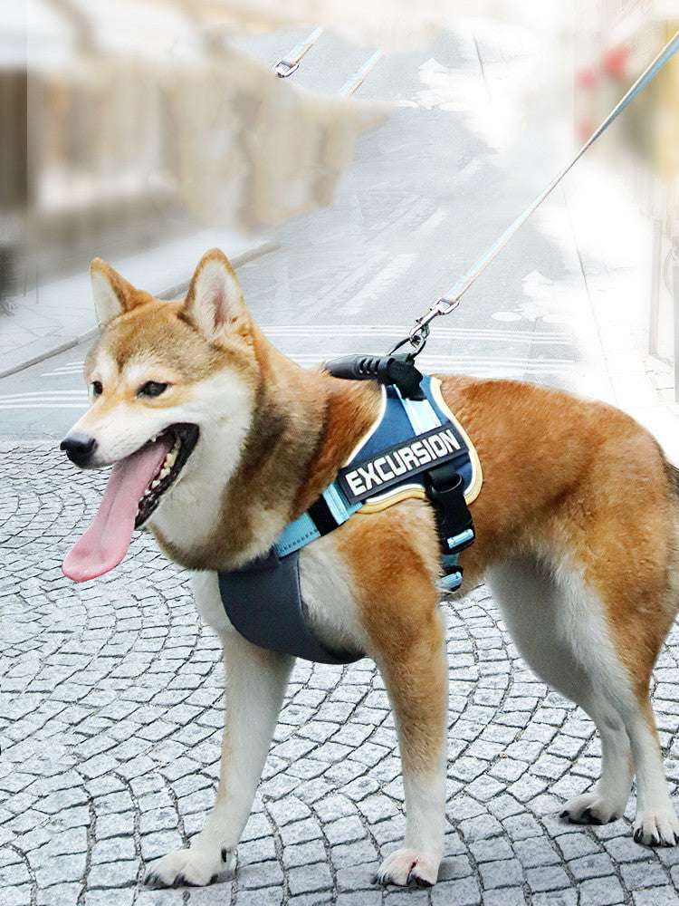 Adjustable Dog Harness, Hiking Dog Gear, Secure Pet Harness - available at Sparq Mart