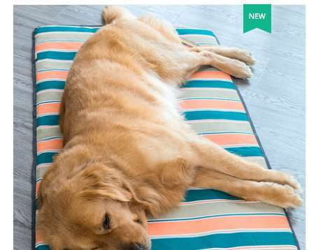 comfortable dog pad, summer pet mat, washable dog bed - available at Sparq Mart