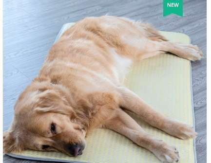 comfortable dog pad, summer pet mat, washable dog bed - available at Sparq Mart