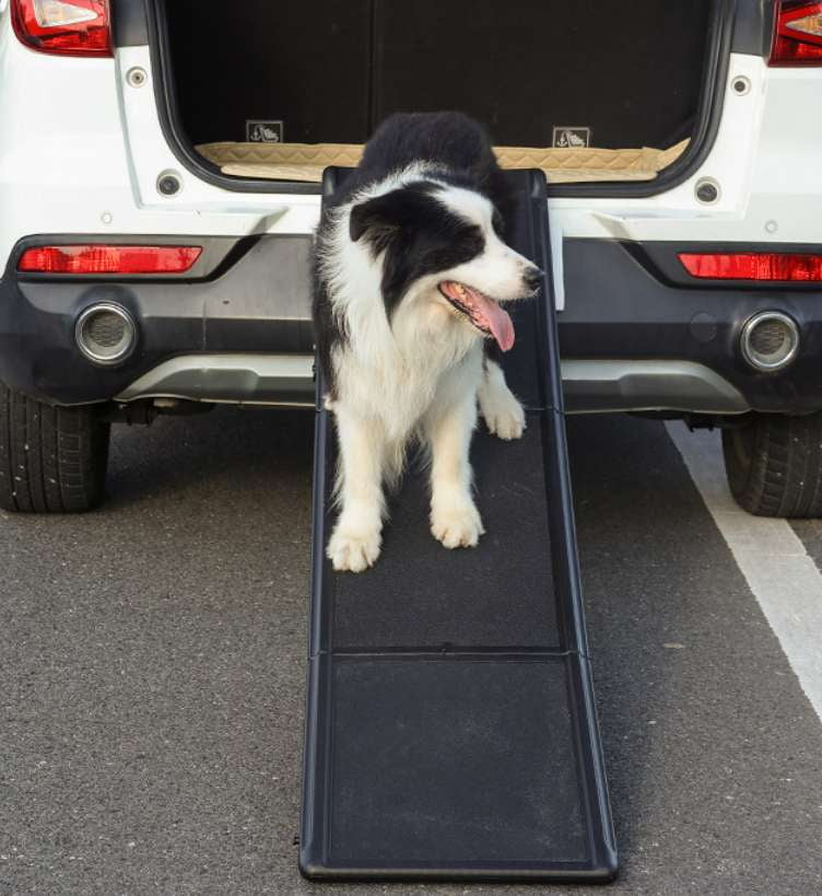 Car Pet Steps, Heavy Duty Dog Ramps, Portable Dog Stairs - available at Sparq Mart