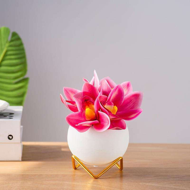 Desktop Ceramic Ornaments, Living Room Desk Decor, Mini Plant Decorations - available at Sparq Mart