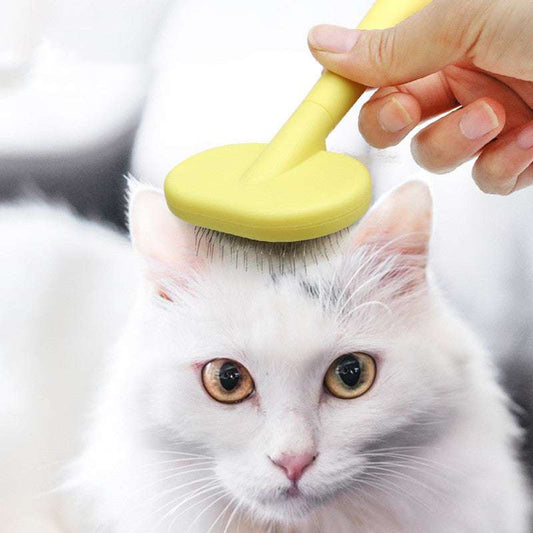 get rid of pet hair, wholesale pet cat and dog hair brush, wholesale pet grooming supplies - available at Sparq Mart