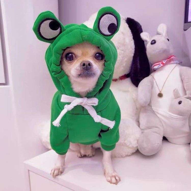 Canine Autumn Apparel, Green Fleece Dog, Pet Winter Fashion - available at Sparq Mart