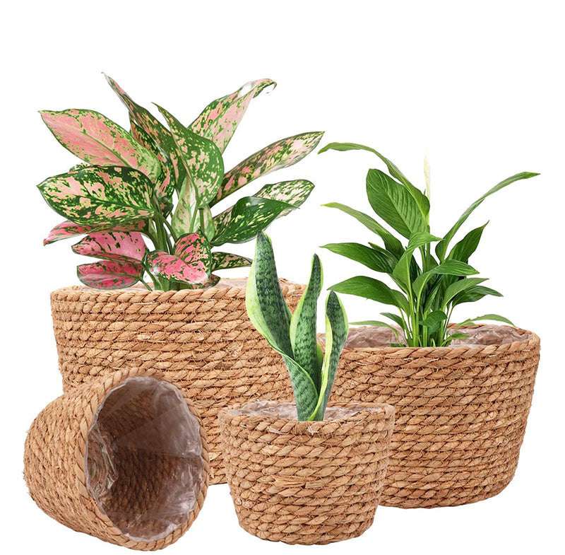 Handwoven storage baskets, plant pot decor, unique interior decor - available at Sparq Mart