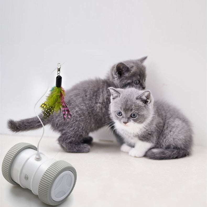 Electric cat toy, High-quality, Multifunctional roller - available at Sparq Mart