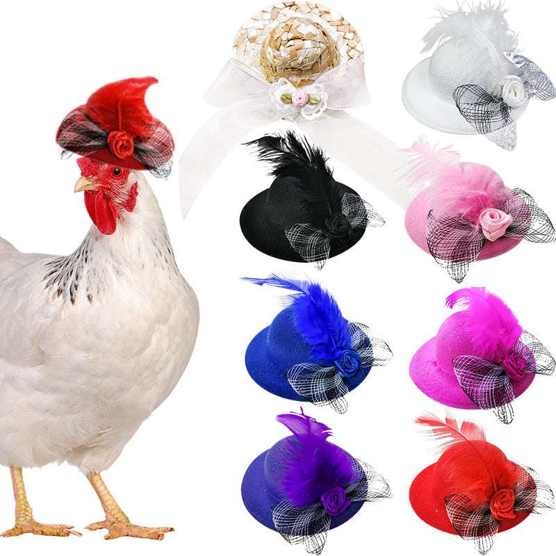 Pet Hats, Stylish Hats, Wholesale Pet Hats - available at Sparq Mart