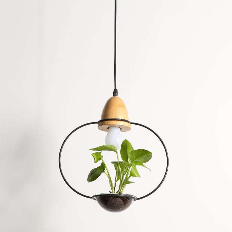 Decorative Plant Lights, Indoor Hanging Plants, Modern Chandelier Plants - available at Sparq Mart