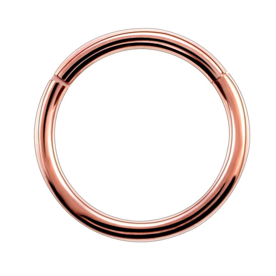 Nose Clicker Jewelry, Septum Piercing Accessory, Titanium Segment Ring - available at Sparq Mart