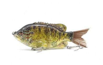 Realistic Fishing Bait, Sunfish Simulation Bait, Transparent Fishing Lure - available at Sparq Mart