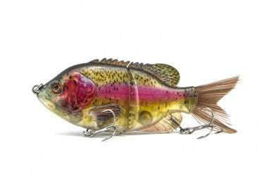 Realistic Fishing Bait, Sunfish Simulation Bait, Transparent Fishing Lure - available at Sparq Mart